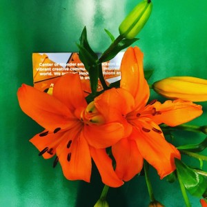 Enjoying the colors on our new desk at the Wonderhellip